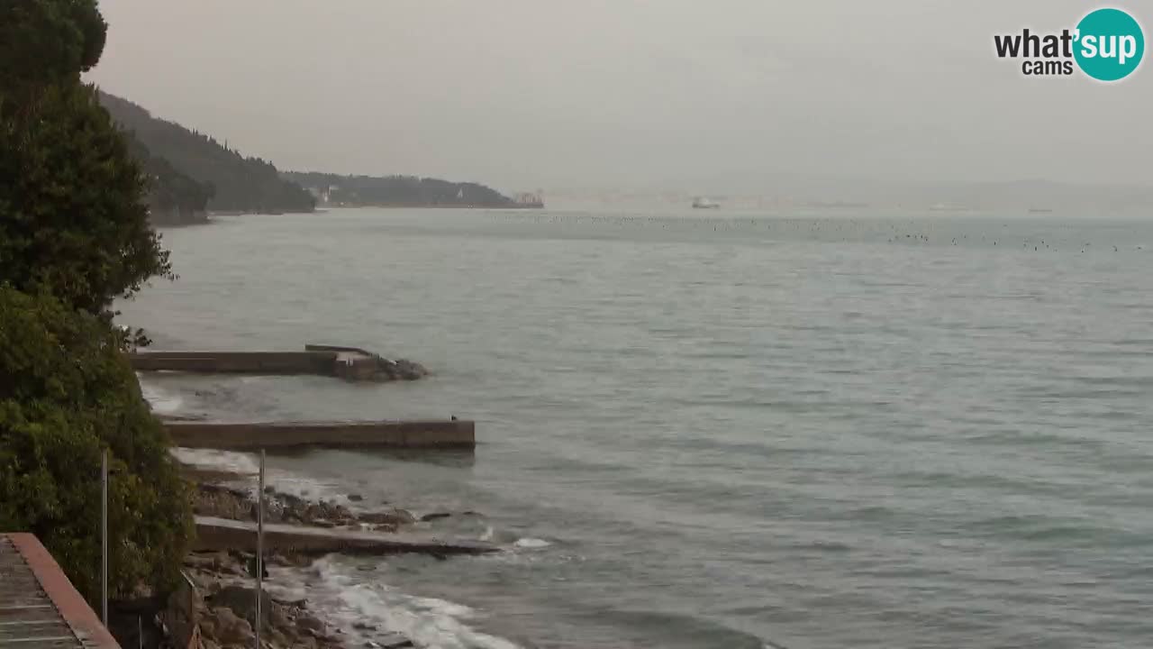 Webcam BellaRiva restaurant | Trieste coast – view to Miramare castle