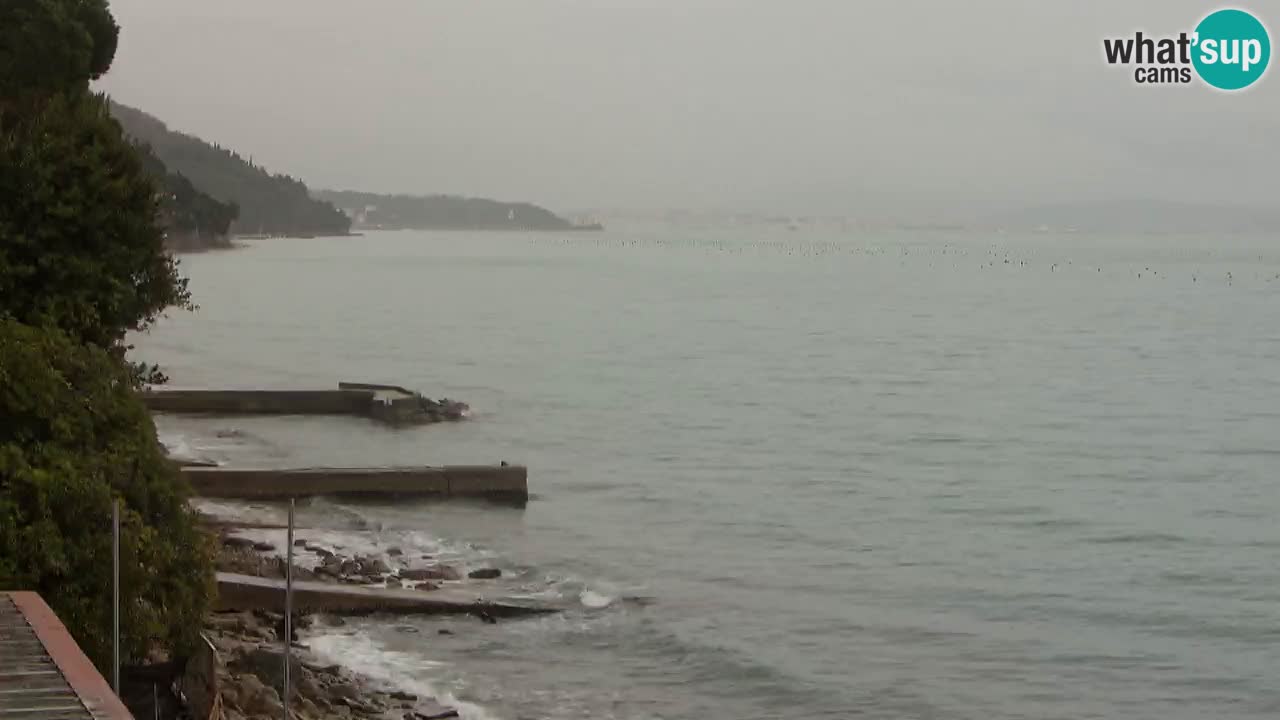 Webcam del restaurante BellaRiva | Costa de Trieste – vista hacia el castillo de Miramare