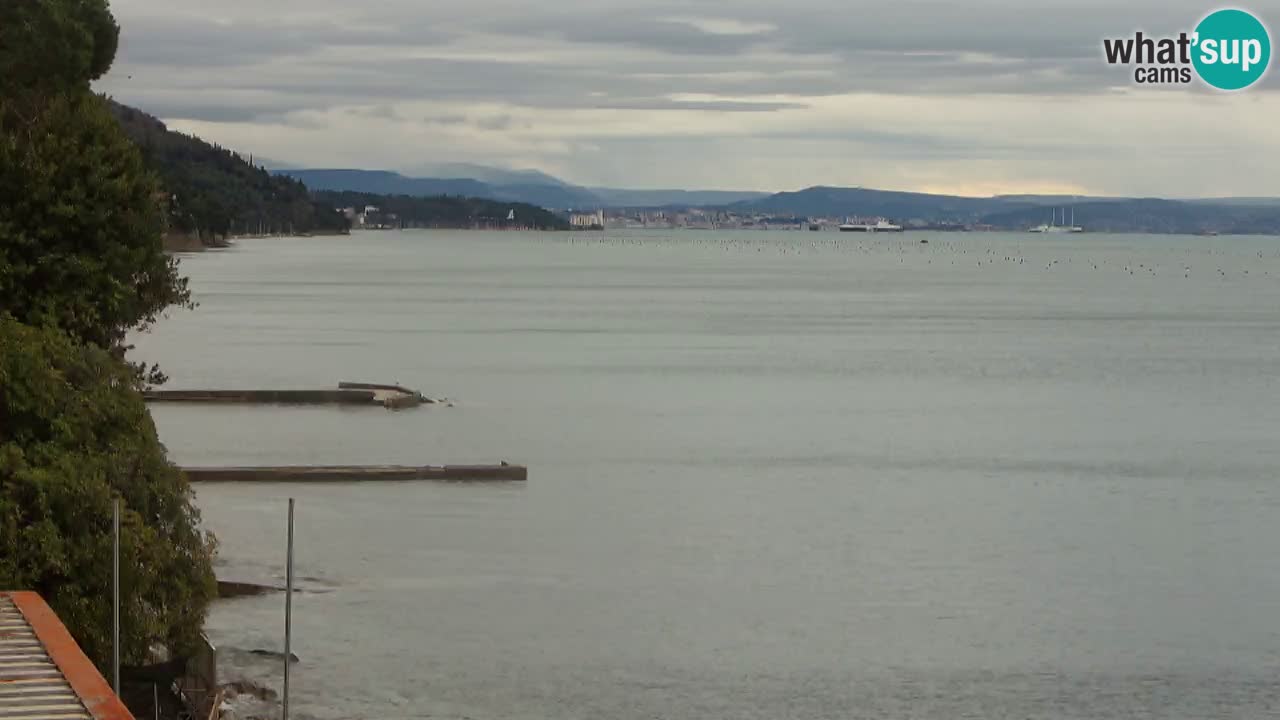 Webcam du restaurant BellaRiva | Côte de Trieste – vue sur le château de Miramare