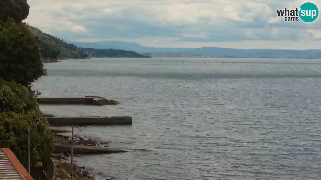 Webcam del restaurante BellaRiva | Costa de Trieste – vista hacia el castillo de Miramare
