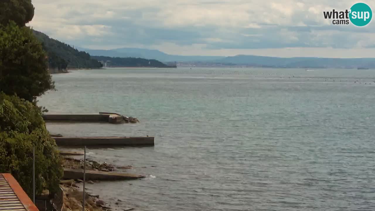 Webcam BellaRiva restaurant | Trieste coast – view to Miramare castle