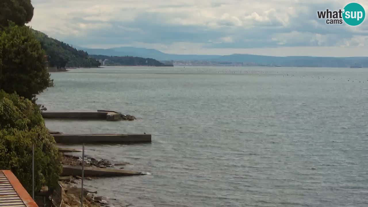 Trattoria BellaRiva webcam | Trieste costiera e castello di Miramare