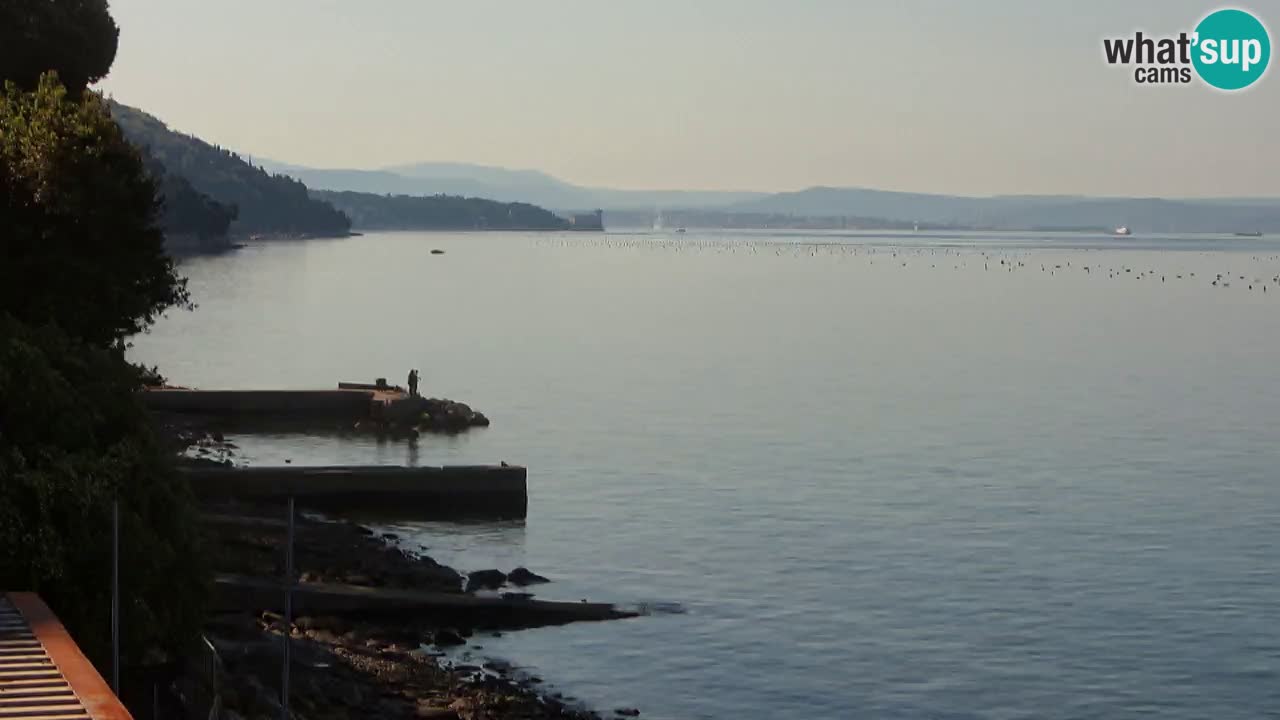 Webcam BellaRiva restaurant | Trieste coast – view to Miramare castle
