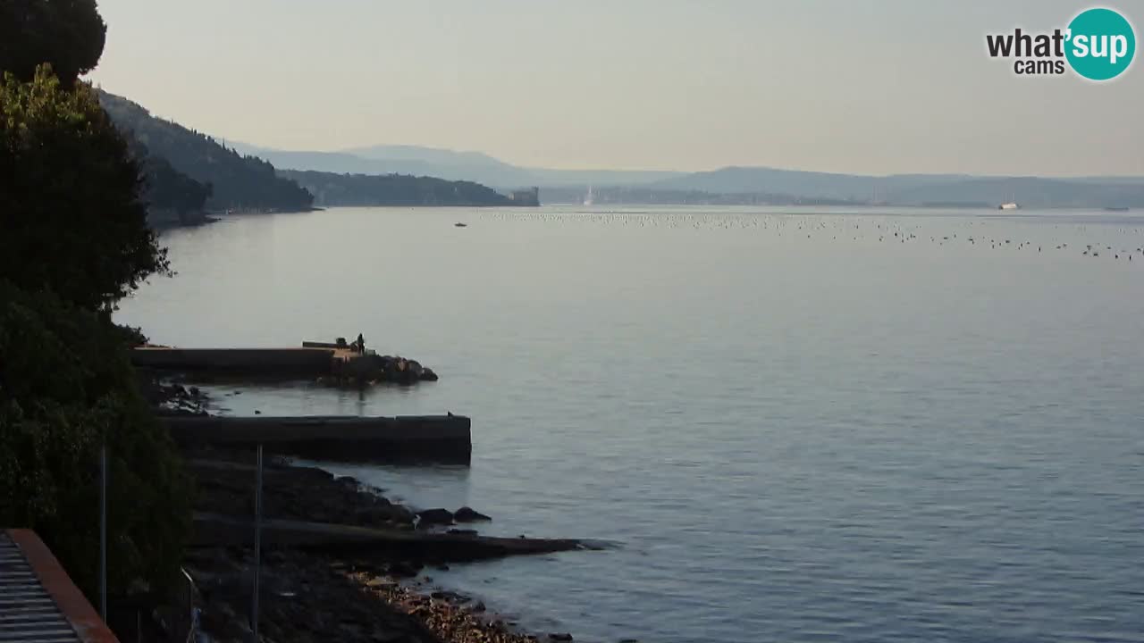 Webcam BellaRiva restaurant | Trieste coast – view to Miramare castle
