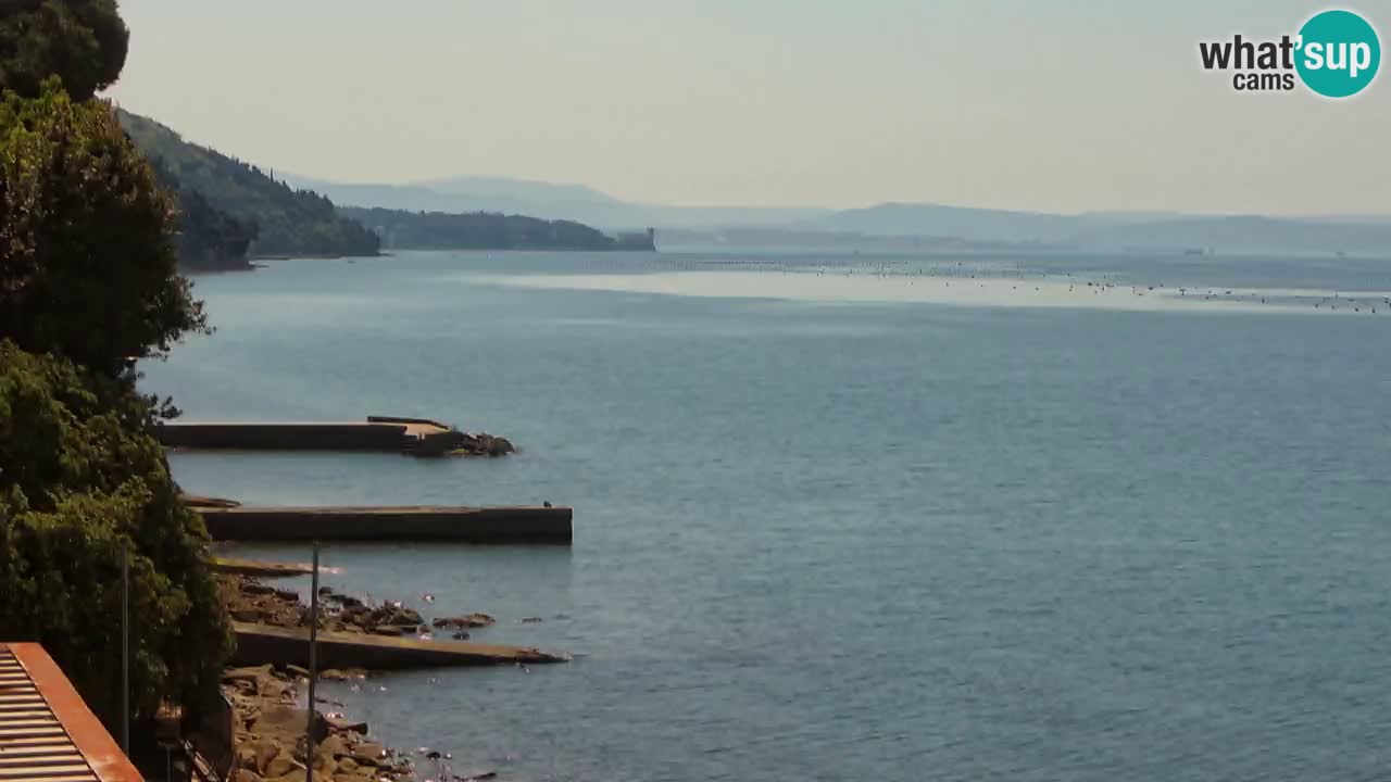 Webcam BellaRiva restaurant | Trieste coast – view to Miramare castle