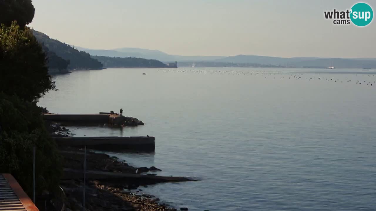 Webcam BellaRiva restaurant | Trieste coast – view to Miramare castle