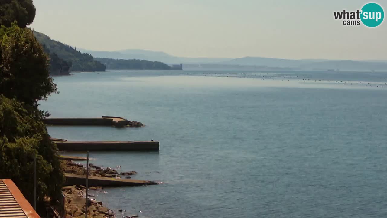 Webcam BellaRiva restaurant | Trieste coast – view to Miramare castle