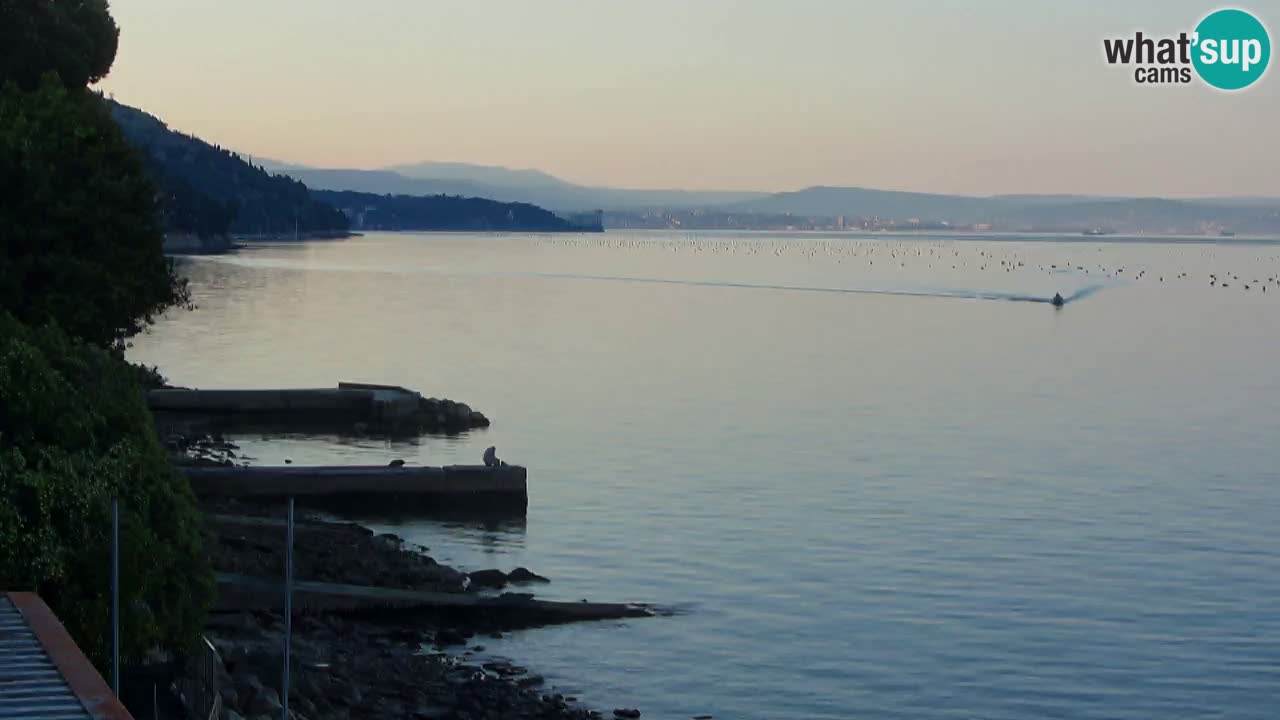 Webcam Restaurant BellaRiva | Küste von Triest – Blick auf das Schloss Miramare