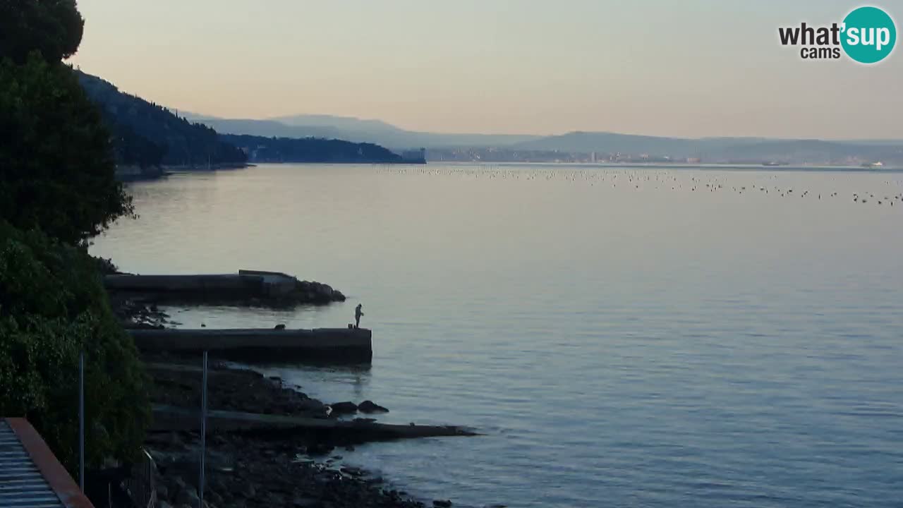 Webcam du restaurant BellaRiva | Côte de Trieste – vue sur le château de Miramare