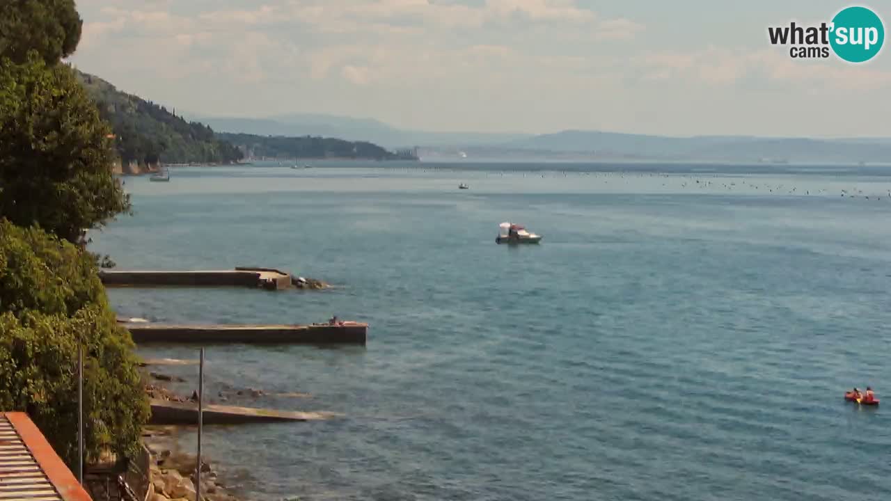Webcam BellaRiva restaurant | Trieste coast – view to Miramare castle