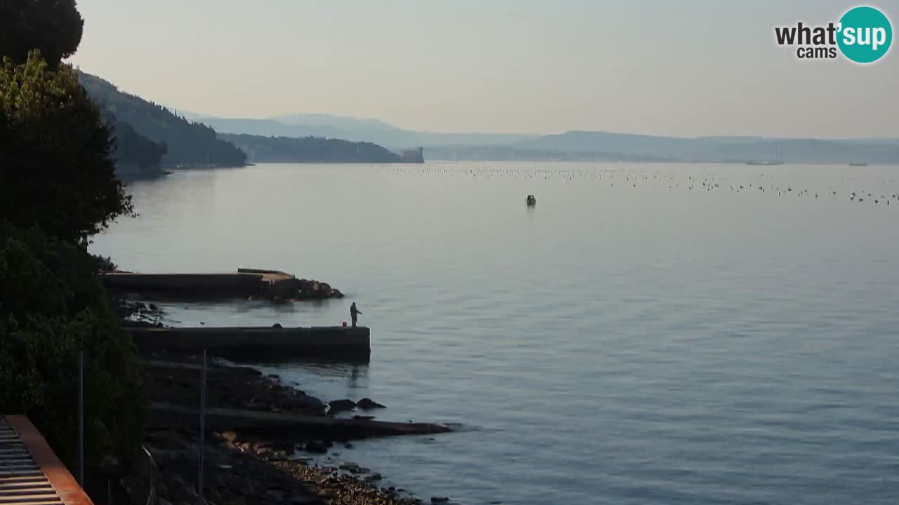 Webcam du restaurant BellaRiva | Côte de Trieste – vue sur le château de Miramare