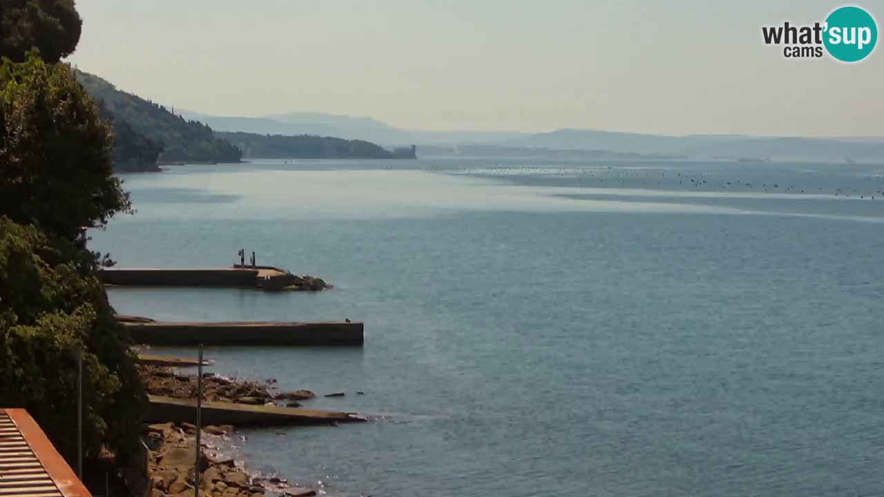 Webcam del restaurante BellaRiva | Costa de Trieste – vista hacia el castillo de Miramare