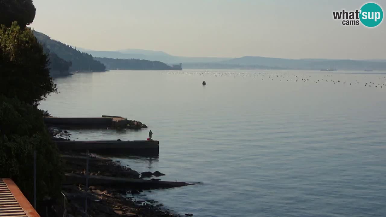 Webcam del restaurante BellaRiva | Costa de Trieste – vista hacia el castillo de Miramare