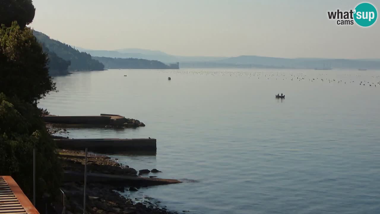 Webcam du restaurant BellaRiva | Côte de Trieste – vue sur le château de Miramare
