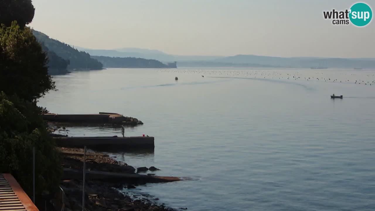 Webcam du restaurant BellaRiva | Côte de Trieste – vue sur le château de Miramare