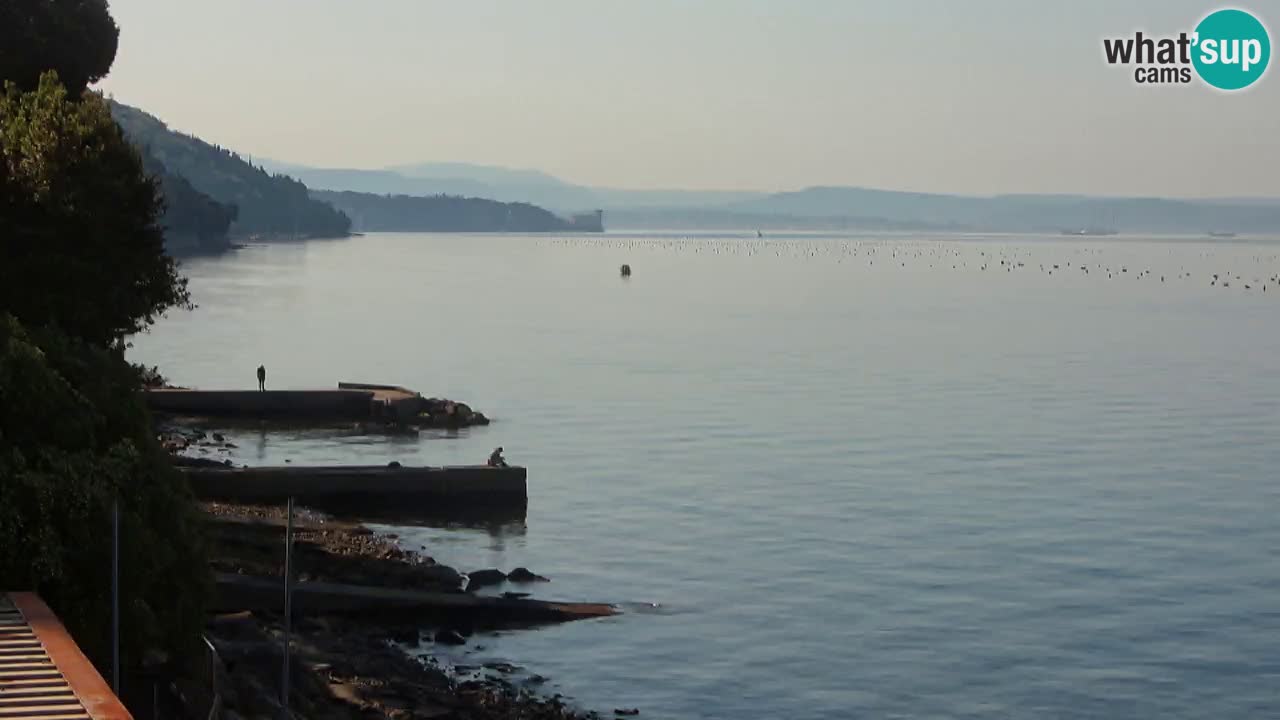 Webcam du restaurant BellaRiva | Côte de Trieste – vue sur le château de Miramare