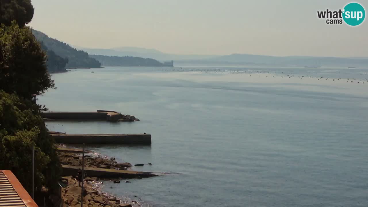 Webcam BellaRiva restaurant | Trieste coast – view to Miramare castle
