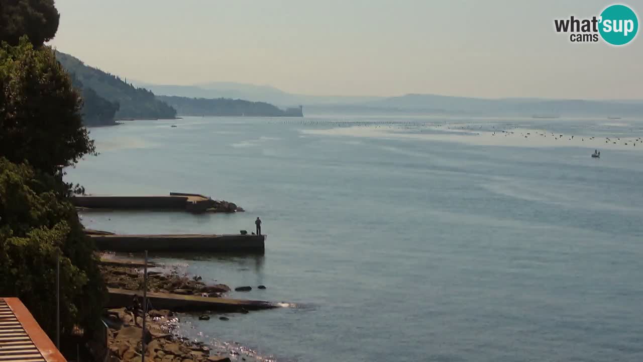 Webcam BellaRiva restaurant | Trieste coast – view to Miramare castle