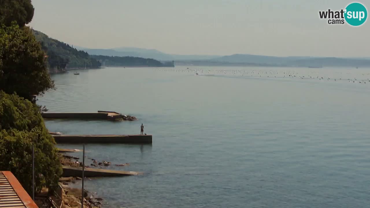 Webcam BellaRiva restaurant | Trieste coast – view to Miramare castle