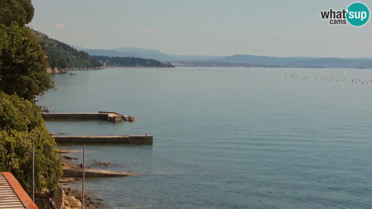 Webcam Restaurant BellaRiva | Küste von Triest – Blick auf das Schloss Miramare