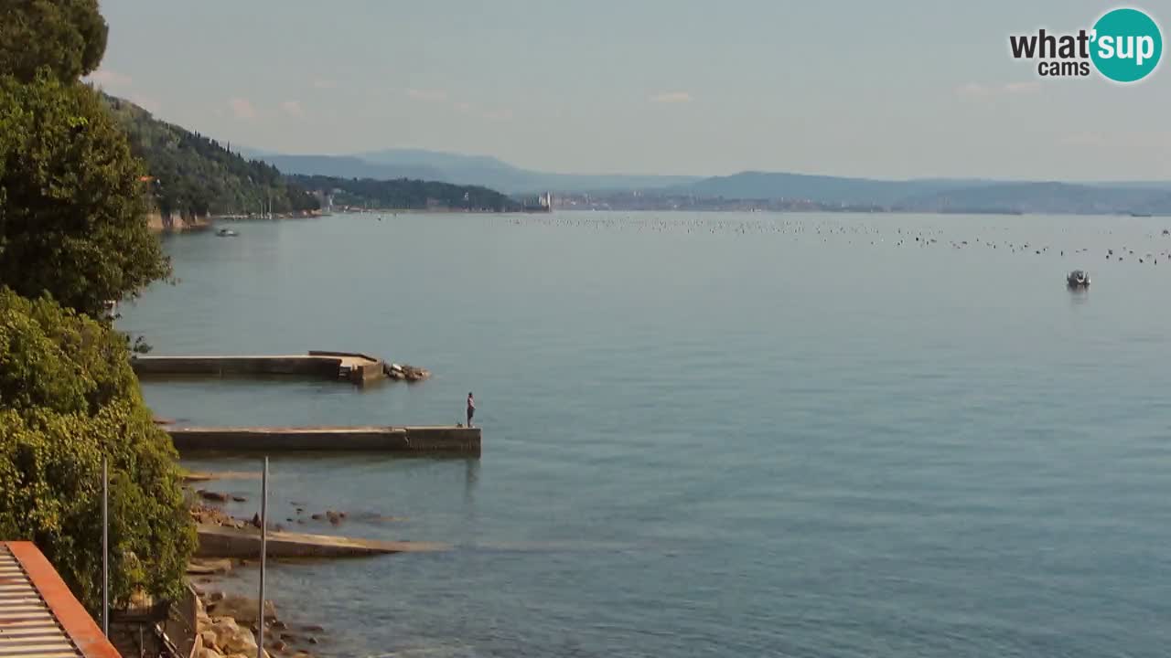 Webcam du restaurant BellaRiva | Côte de Trieste – vue sur le château de Miramare