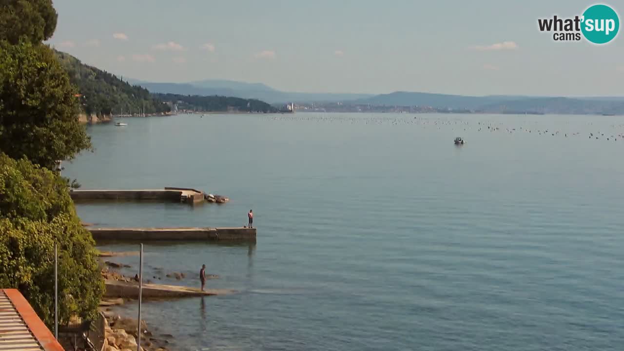 Webcam del restaurante BellaRiva | Costa de Trieste – vista hacia el castillo de Miramare