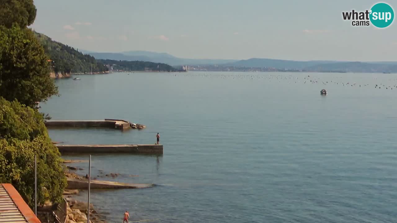 Webcam del restaurante BellaRiva | Costa de Trieste – vista hacia el castillo de Miramare