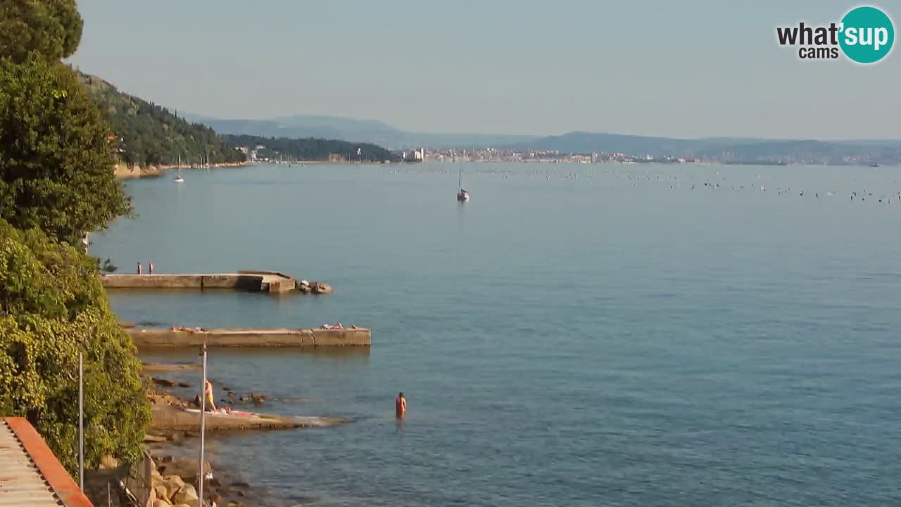 Webcam BellaRiva restaurant | Trieste coast – view to Miramare castle