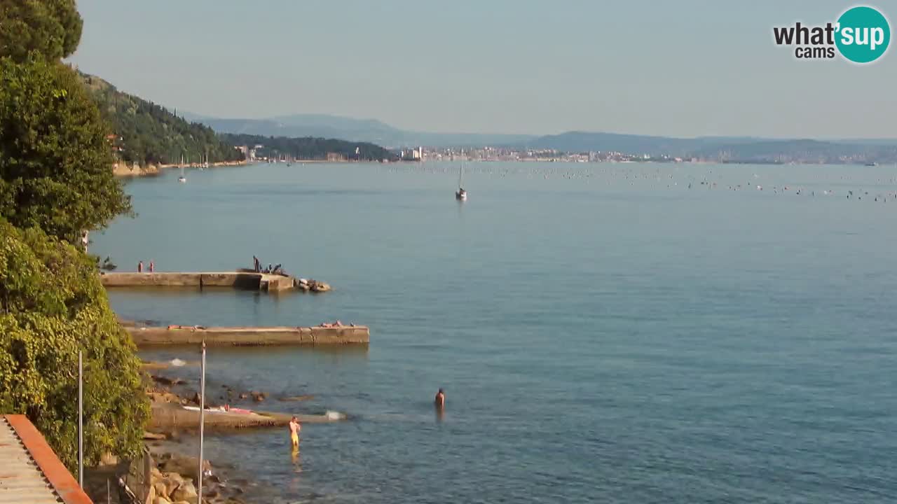 Webcam BellaRiva restaurant | Trieste coast – view to Miramare castle