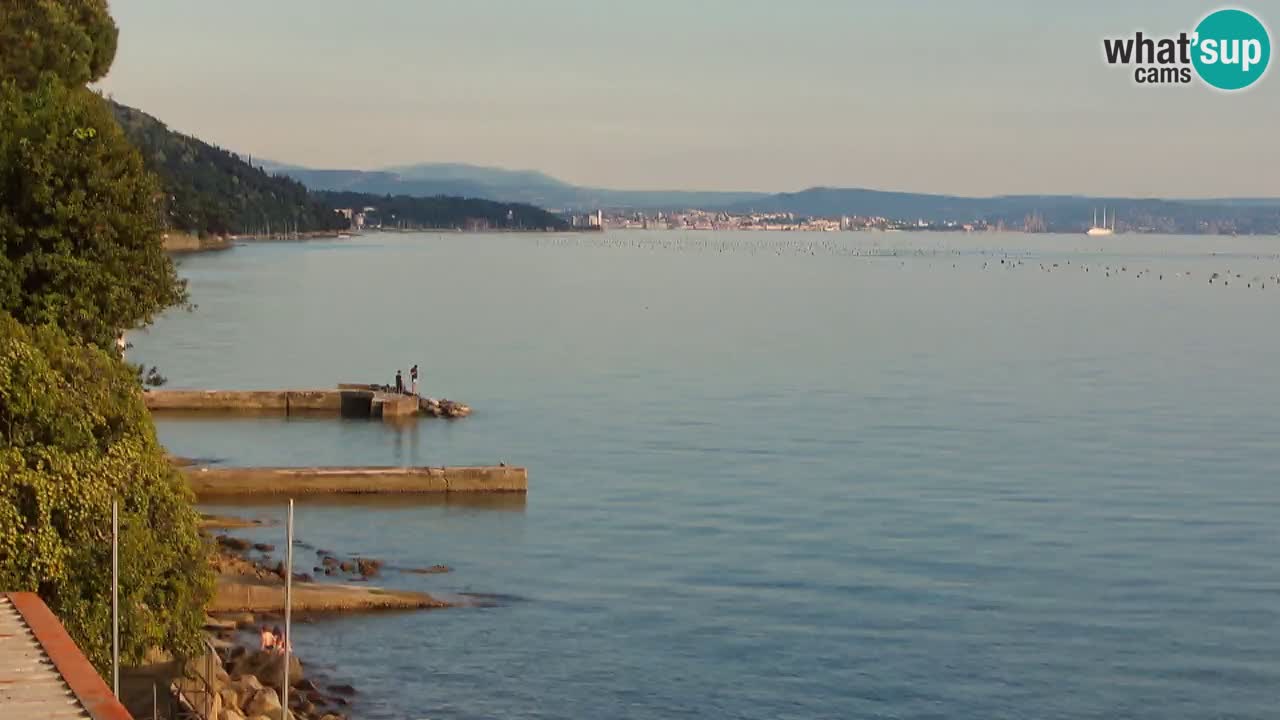 Webcam du restaurant BellaRiva | Côte de Trieste – vue sur le château de Miramare