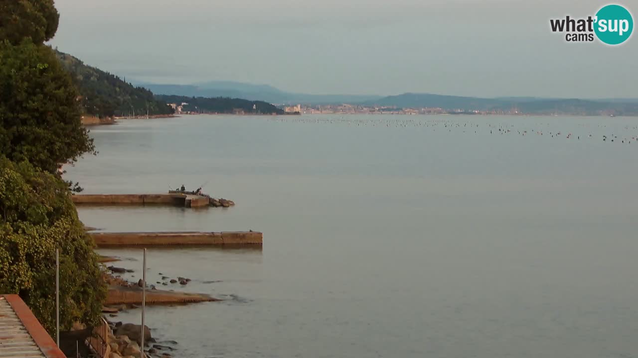 Webcam du restaurant BellaRiva | Côte de Trieste – vue sur le château de Miramare