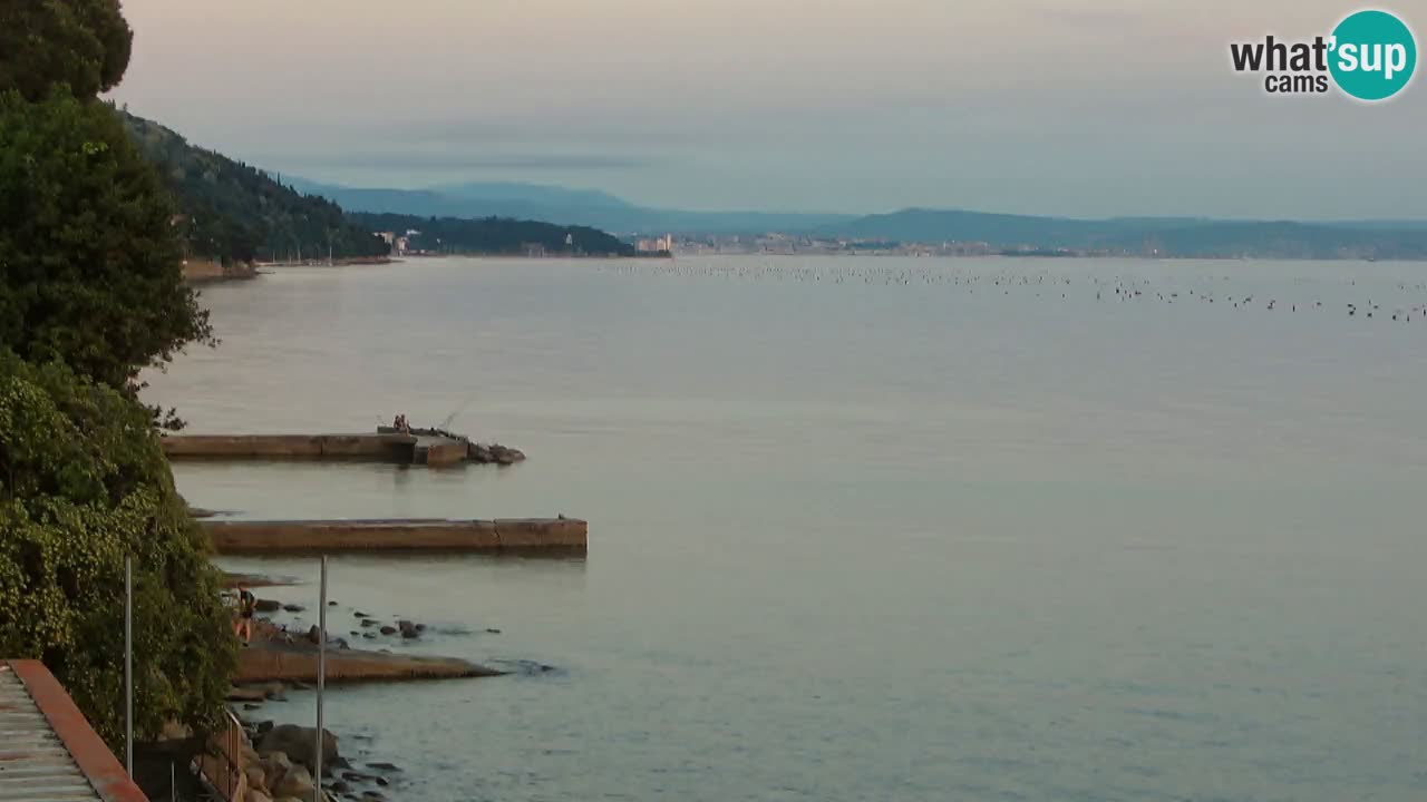 Webcam du restaurant BellaRiva | Côte de Trieste – vue sur le château de Miramare