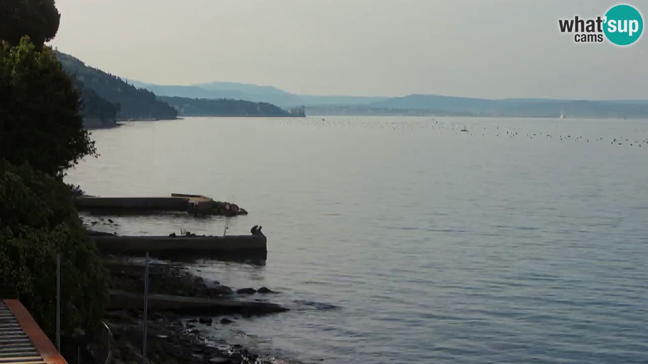 Webcam du restaurant BellaRiva | Côte de Trieste – vue sur le château de Miramare