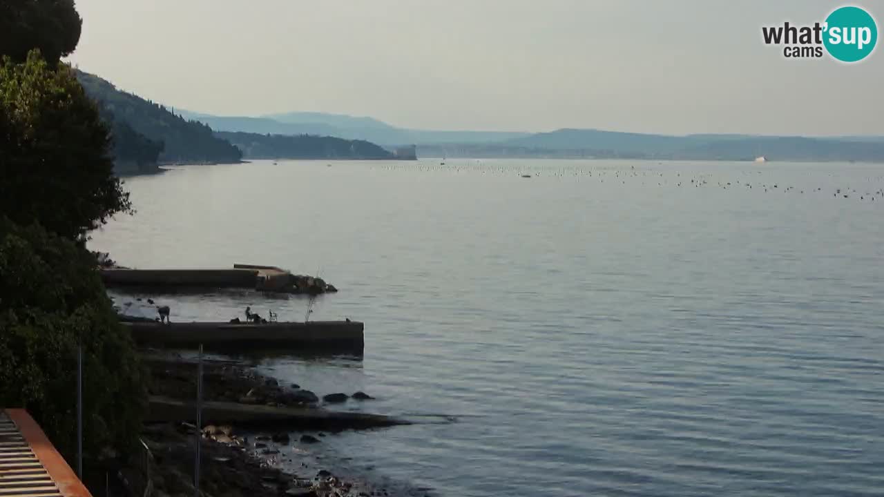 Webcam BellaRiva restaurant | Trieste coast – view to Miramare castle