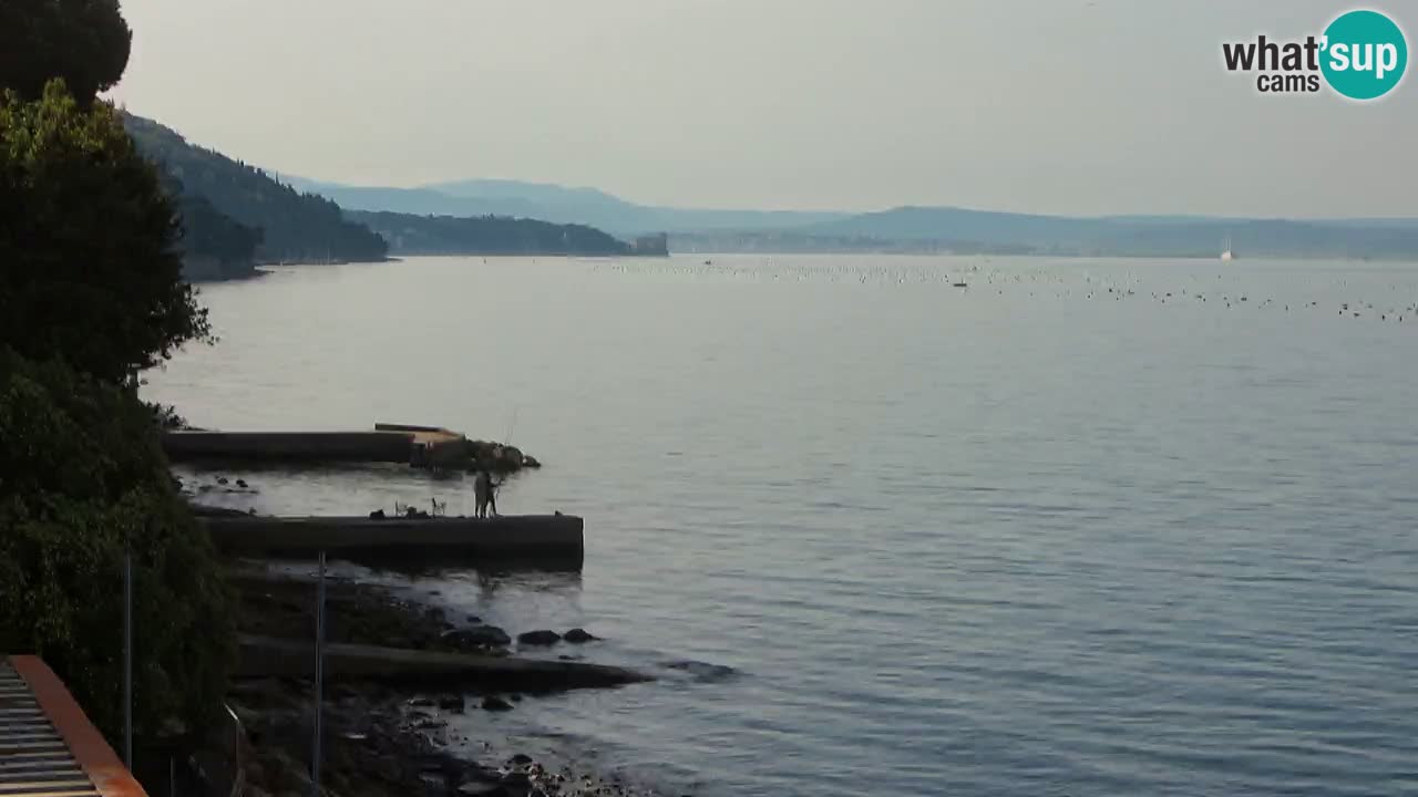 Webcam BellaRiva restaurant | Trieste coast – view to Miramare castle