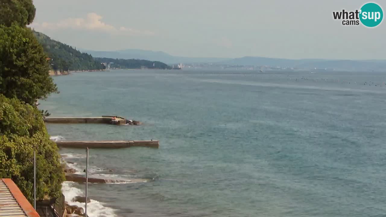 Webcam BellaRiva restaurant | Trieste coast – view to Miramare castle