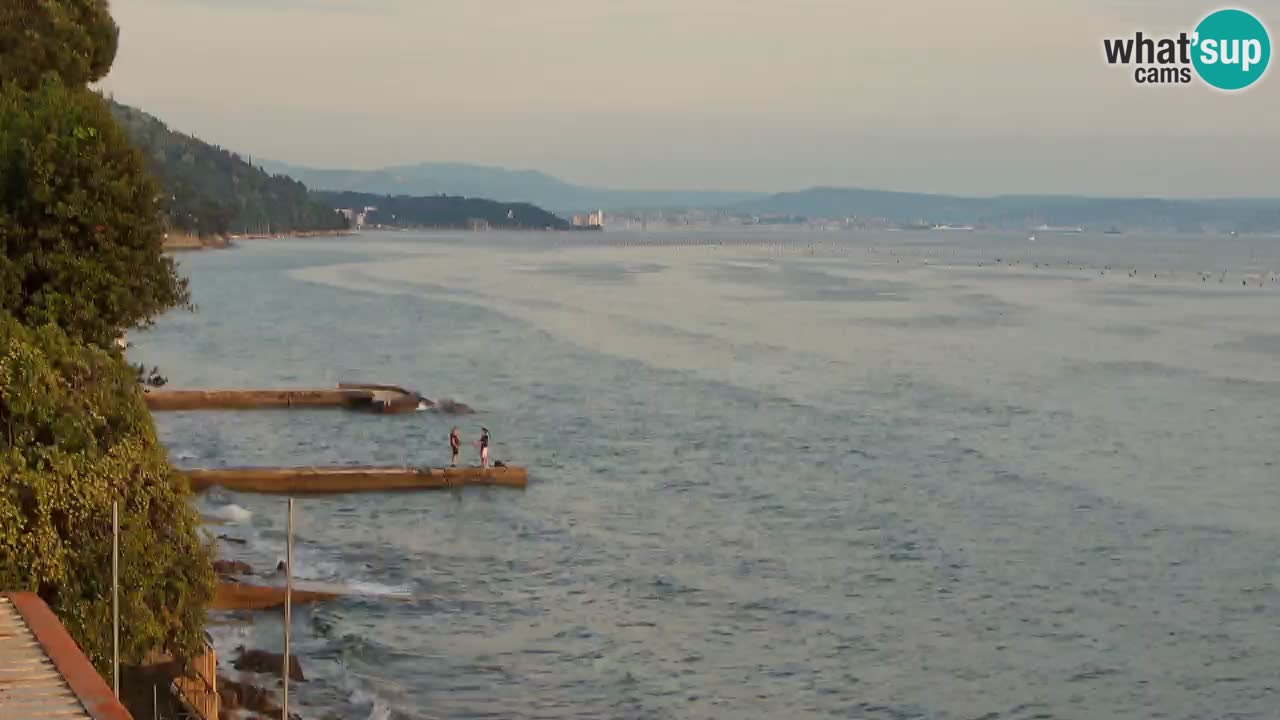 Webcam BellaRiva restaurant | Trieste coast – view to Miramare castle