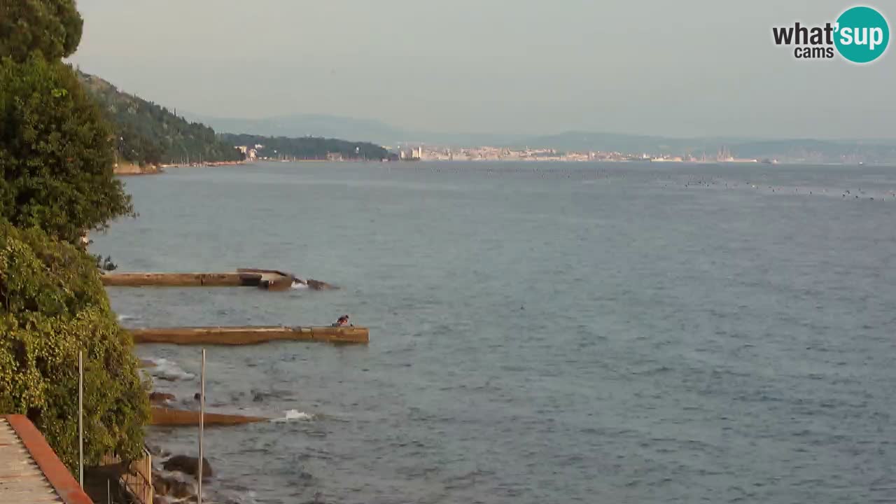 Webcam BellaRiva restaurant | Trieste coast – view to Miramare castle