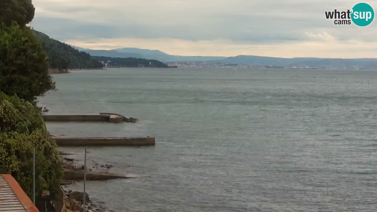 Trattoria BellaRiva webcam | Trieste costiera e castello di Miramare