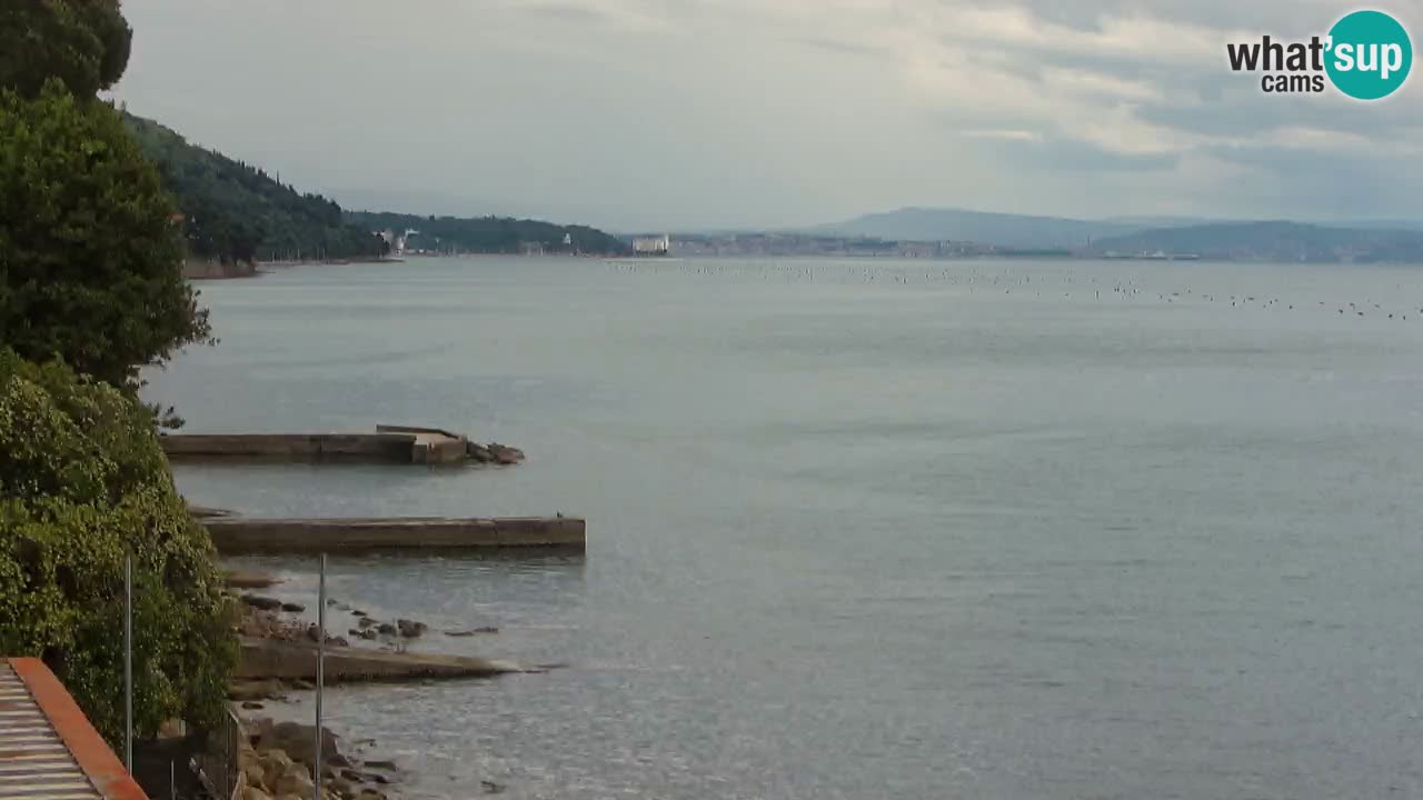 Webcam Restaurant BellaRiva | Küste von Triest – Blick auf das Schloss Miramare