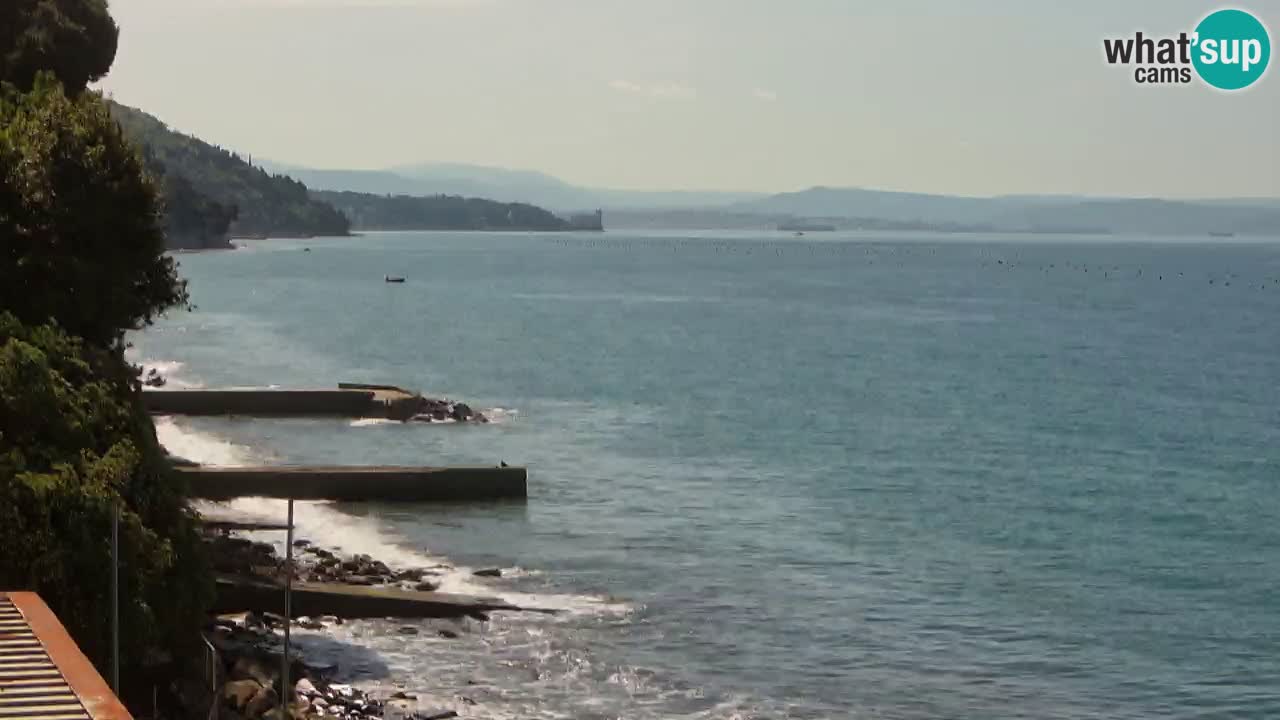 Webcam BellaRiva restaurant | Trieste coast – view to Miramare castle