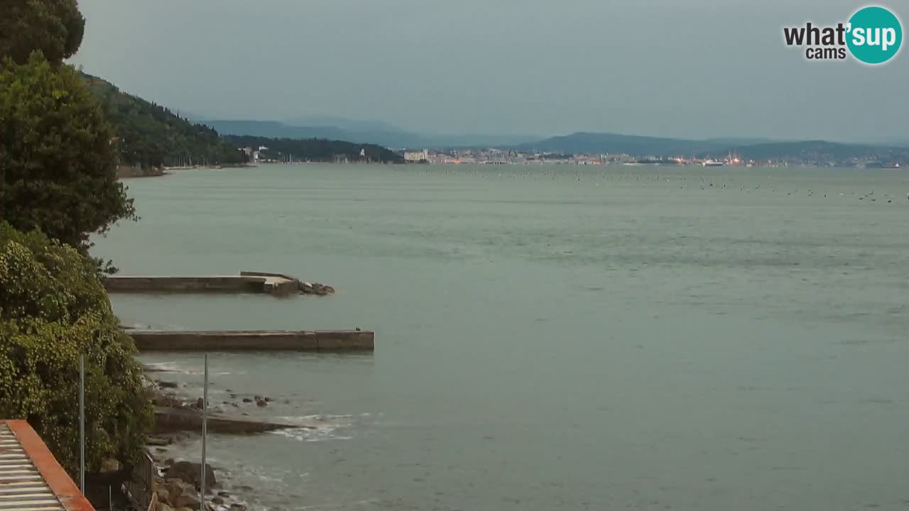 Webcam BellaRiva restaurant | Trieste coast – view to Miramare castle
