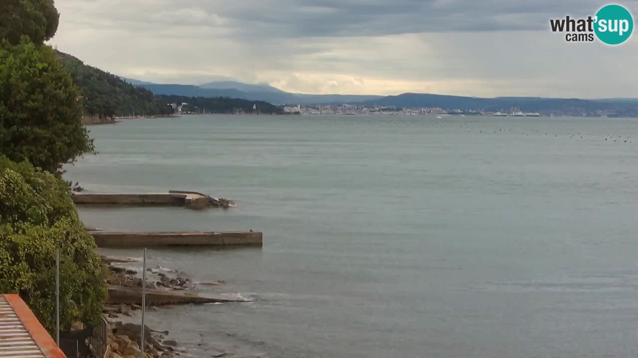 Webcam Restaurant BellaRiva | Küste von Triest – Blick auf das Schloss Miramare