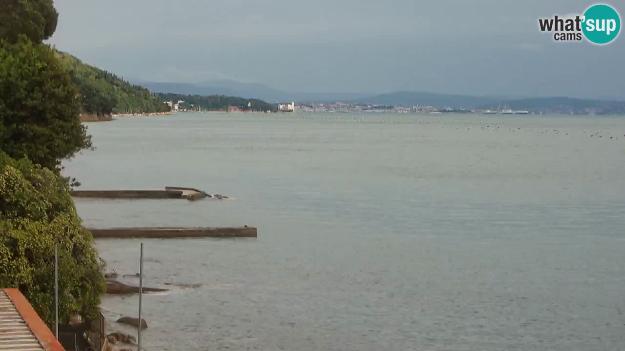 Webcam del restaurante BellaRiva | Costa de Trieste – vista hacia el castillo de Miramare