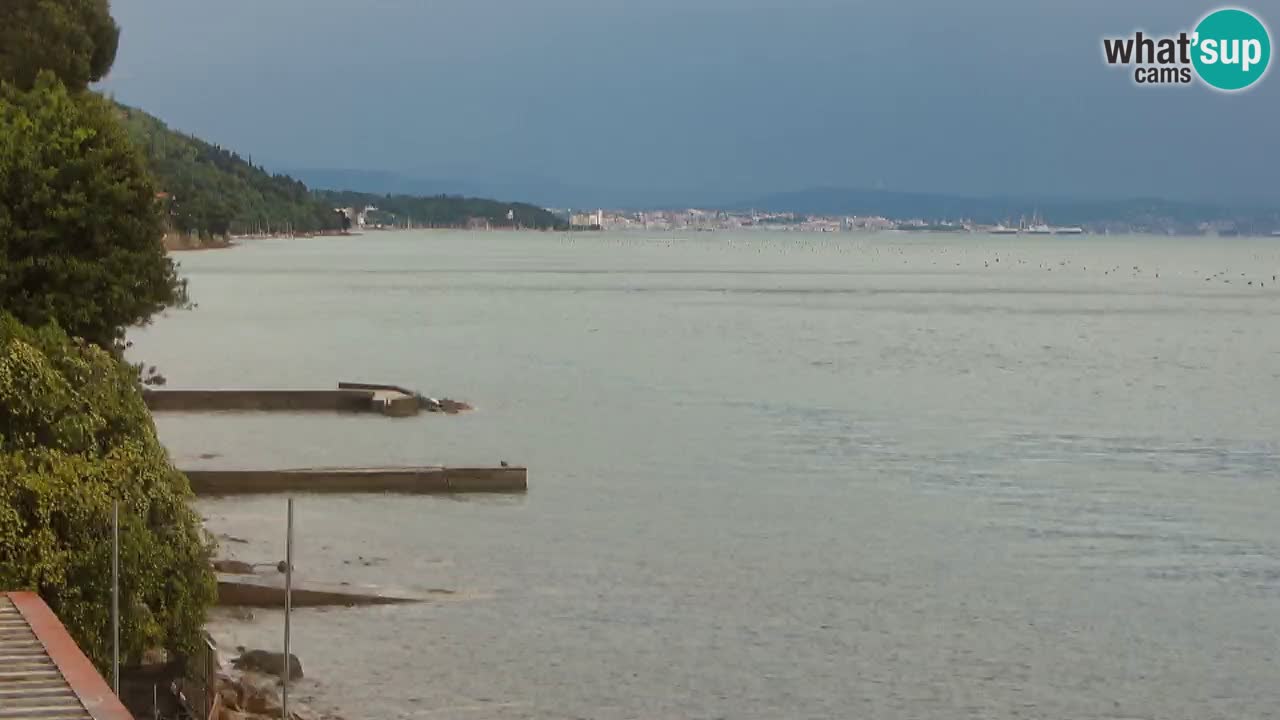 Gostilna BellaRiva kamera | Trst obala – pogled na Miramarski grad