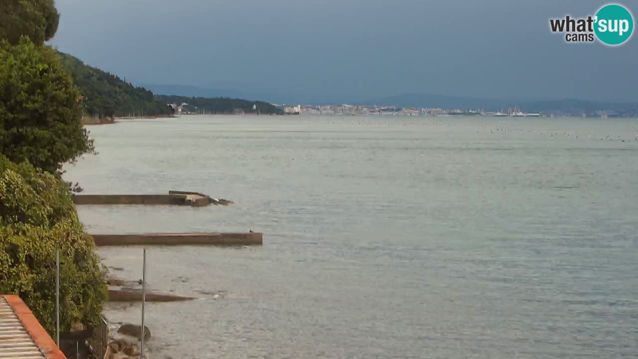 Webcam BellaRiva restaurant | Trieste coast – view to Miramare castle