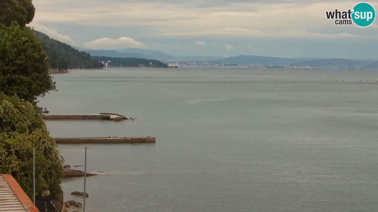Webcam del restaurante BellaRiva | Costa de Trieste – vista hacia el castillo de Miramare