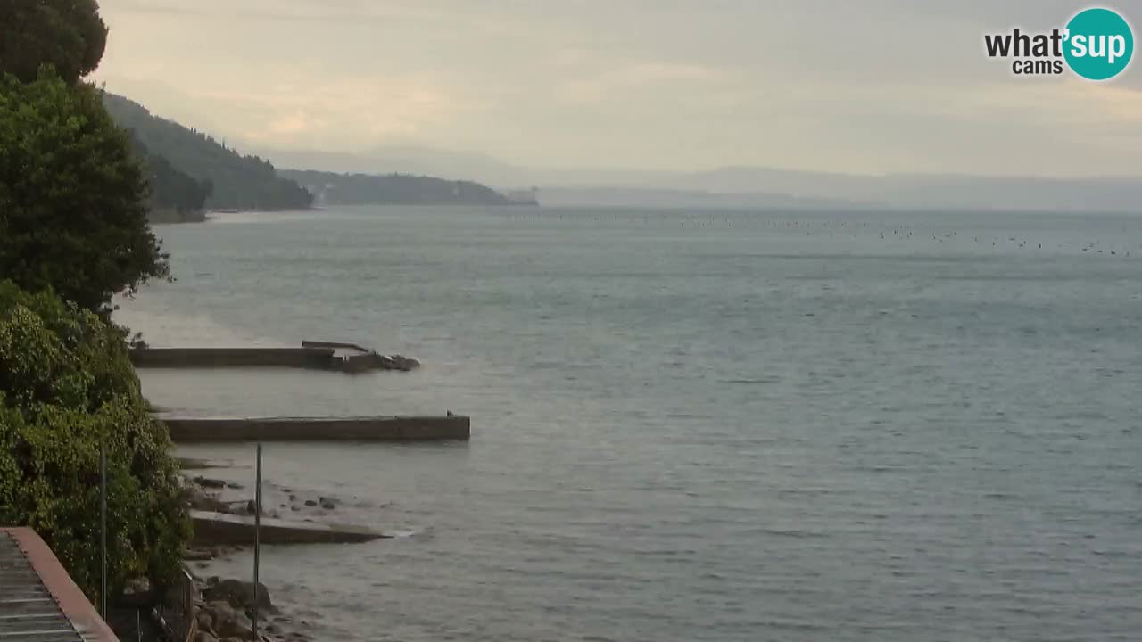 Webcam du restaurant BellaRiva | Côte de Trieste – vue sur le château de Miramare