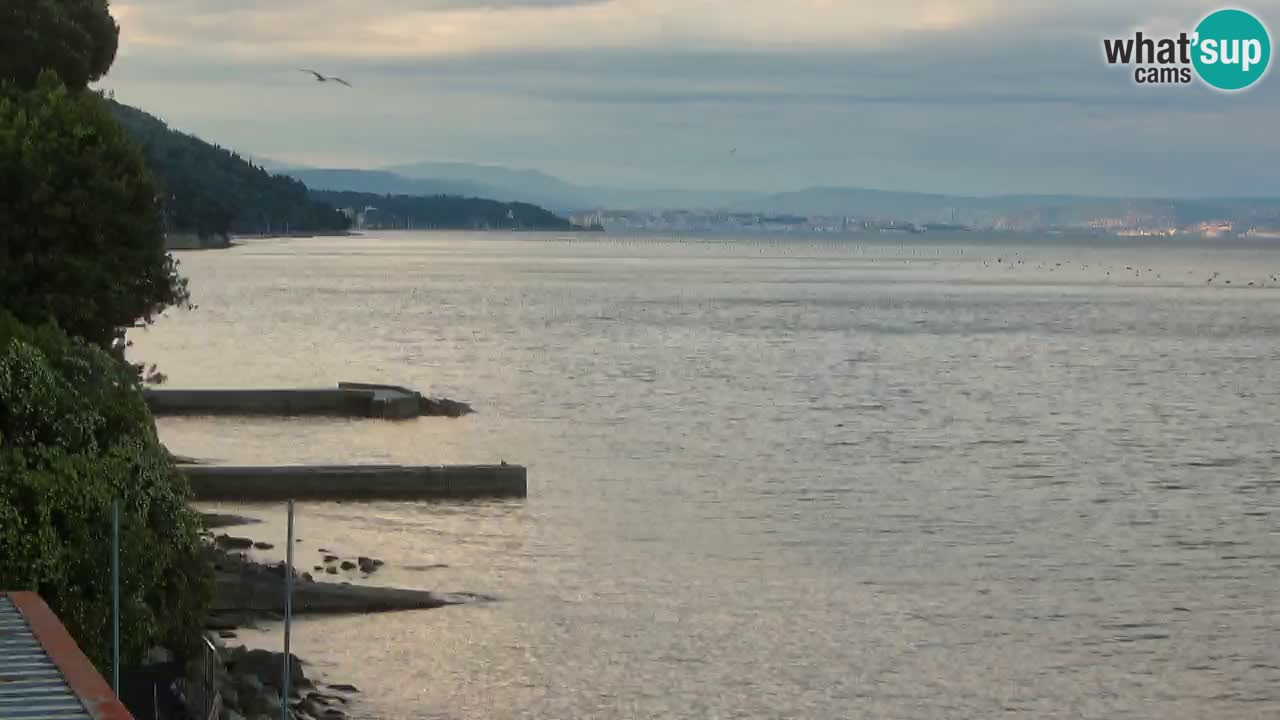 Trattoria BellaRiva webcam | Trieste costiera e castello di Miramare