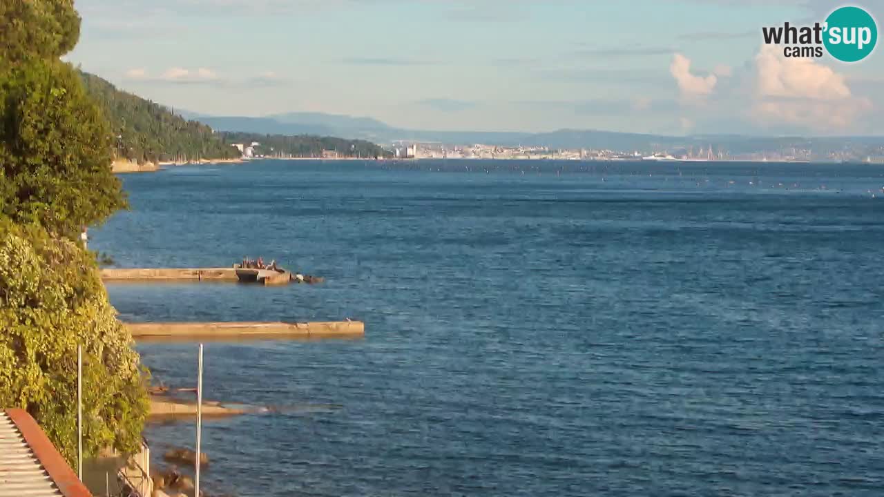 Webcam BellaRiva restaurant | Trieste coast – view to Miramare castle